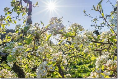L’arrivée de l’été : se mettre en harmonie avec la nature