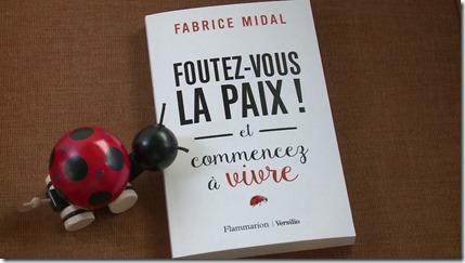 Livre Fabrice Midal Foutez vous la paix