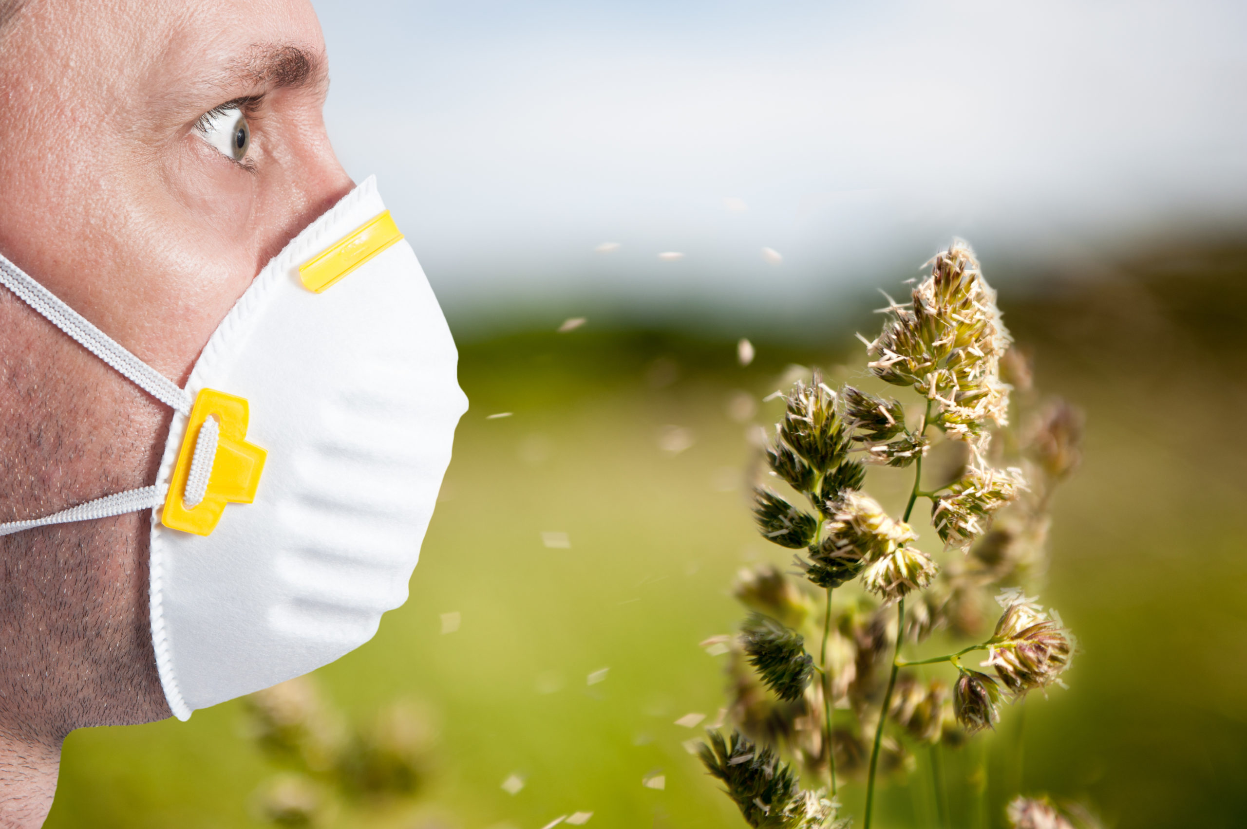 Rhume des foins ou coronavirus : causes, symptômes et soins holistiques
