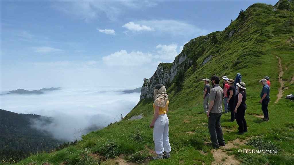 Qi gong et méditation avec les cinq énergies de la nature