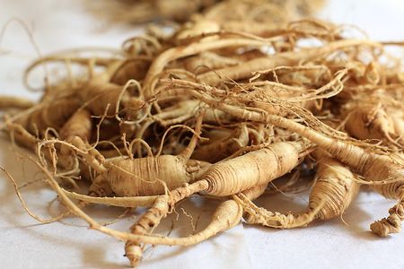 le ginseng un super aliment