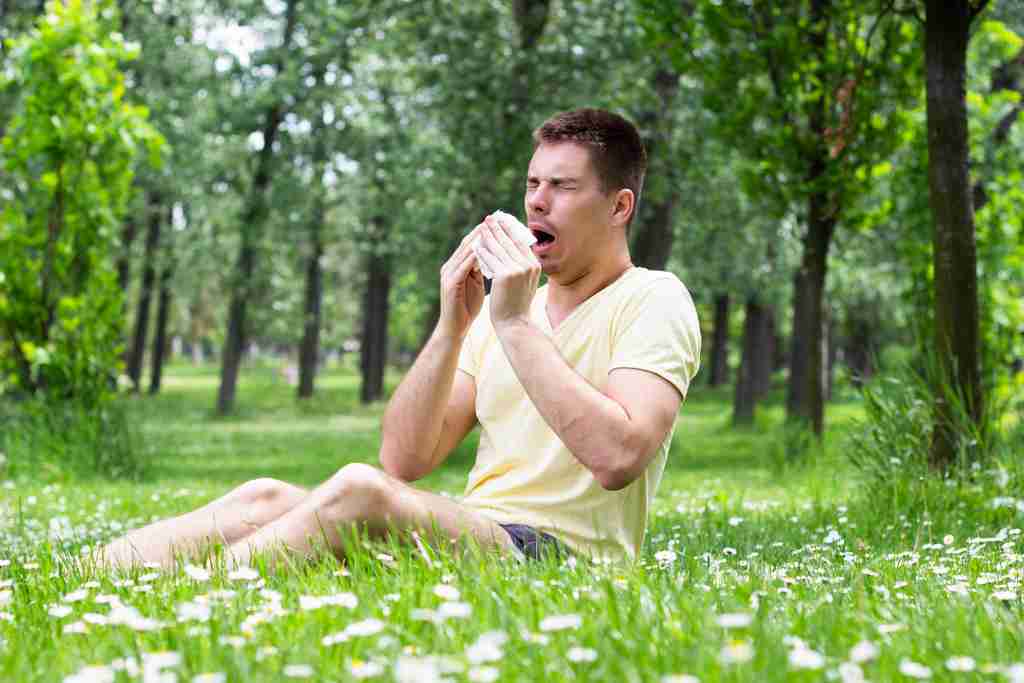 Prévenir efficacement les allergies saisonnières avec la médecine chinoise