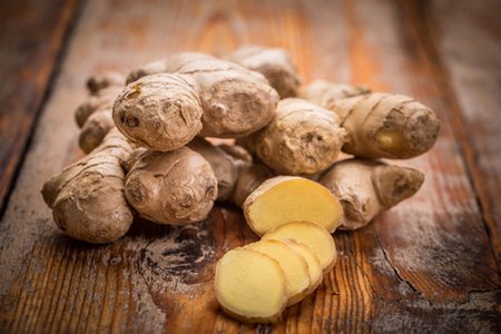 racine de gingembre frais (Zingiber officinalis)