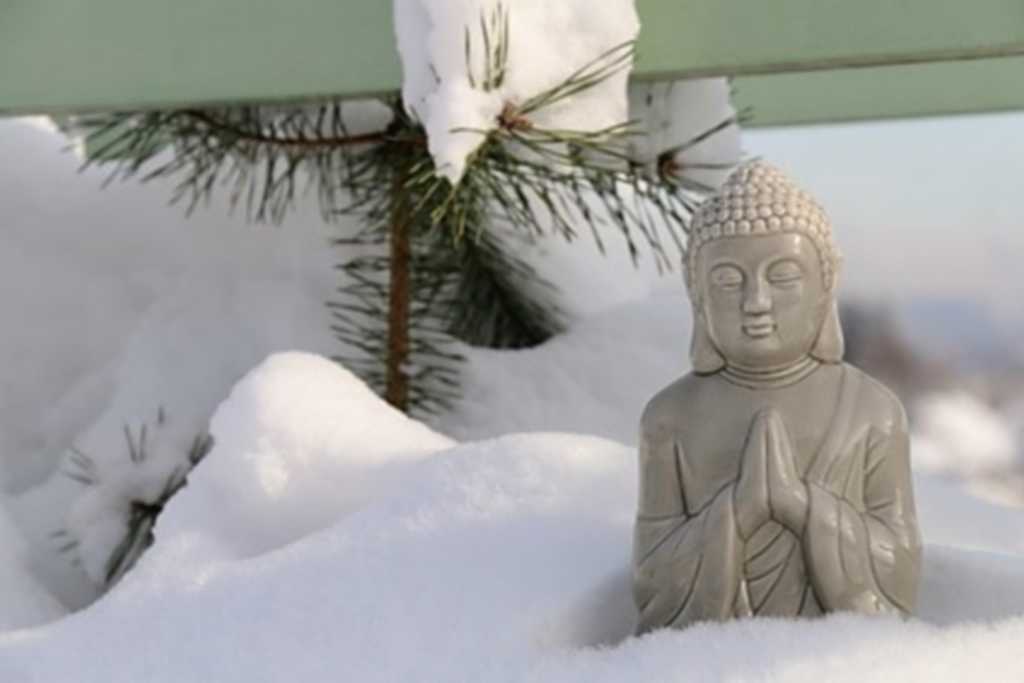 3 méthodes pour tonifier vos Reins grâce au froid de l’hiver
