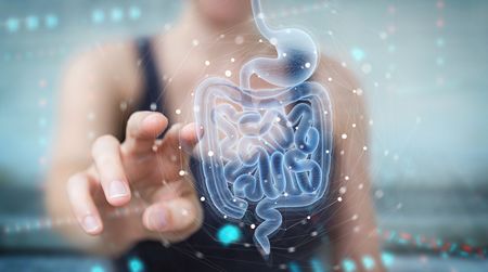 votre intestin votre deuxième cerveau