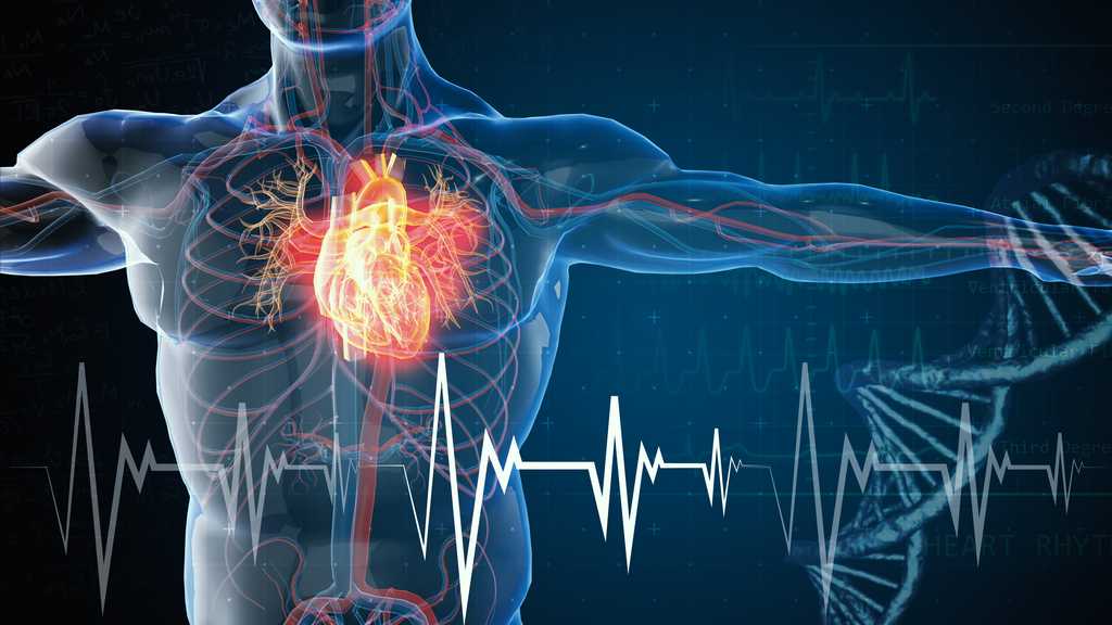 La différence entre médecines énergétiques et médecine vibratoire