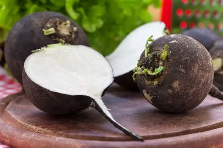 Radis noir pour soulager la vésicule biliaire