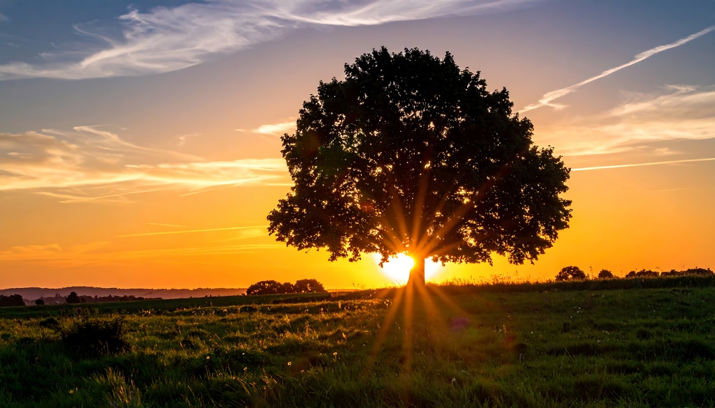 Arbre symbolisant la stabilité intérieure et l’axe énergétique en médecine chinoise